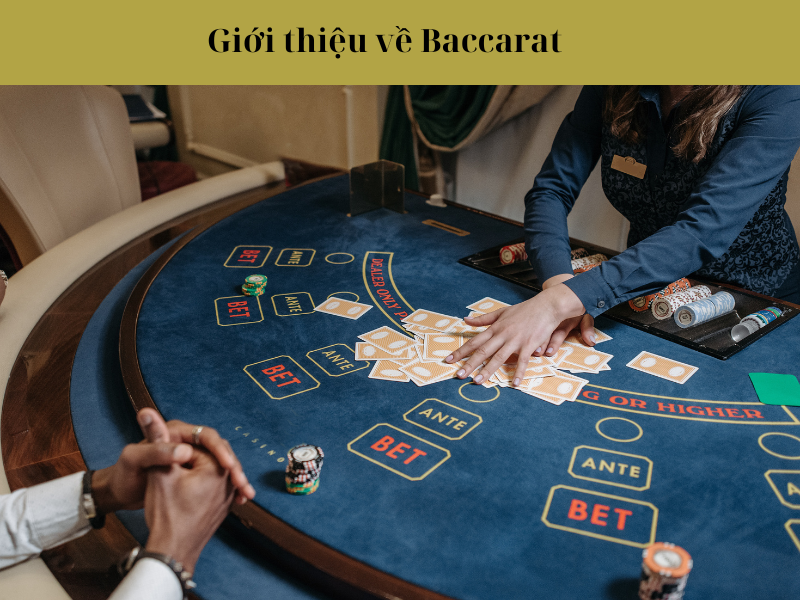 Giới thiệu về Baccarat