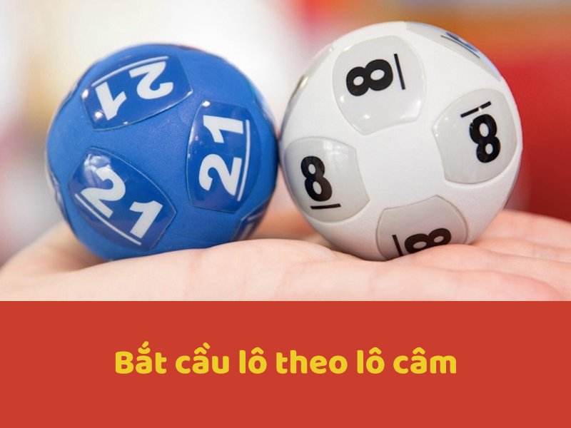 Bắt cầu lô theo lô câm