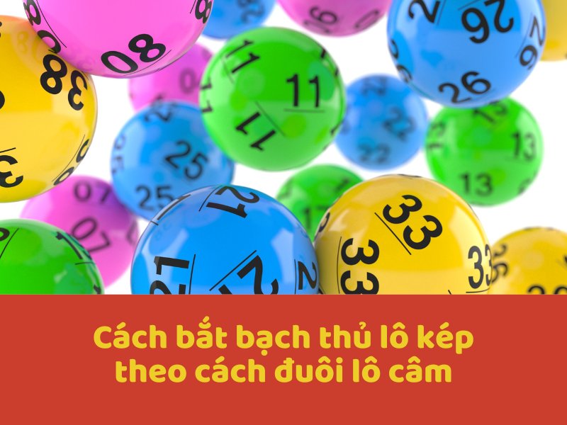 Cách bắt bạch thủ lô kép theo cách đuôi lô câm