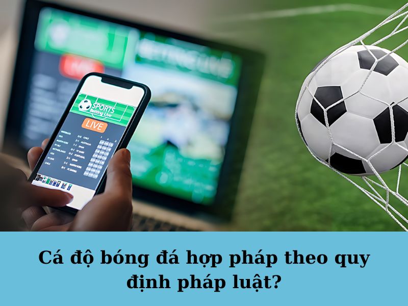 Liệu cá độ bóng đá hợp pháp hay không?