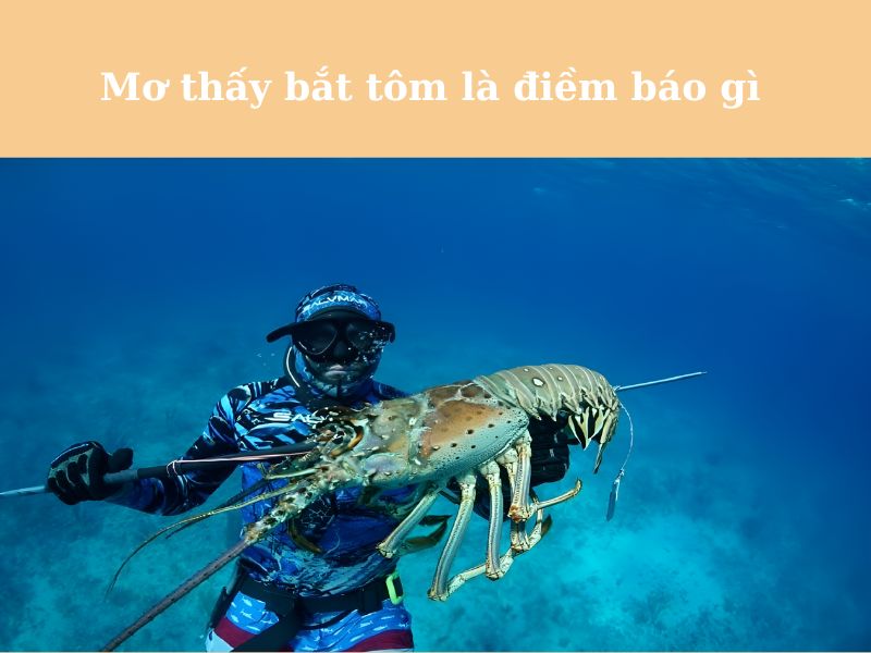 Mơ thấy tôm hùm là điềm gì