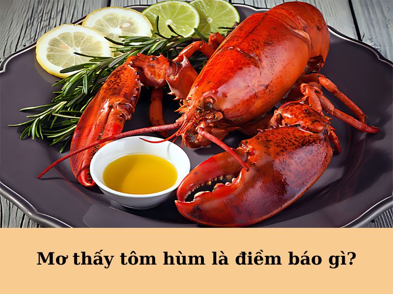 Mơ thấy tôm hùm là điềm báo gì